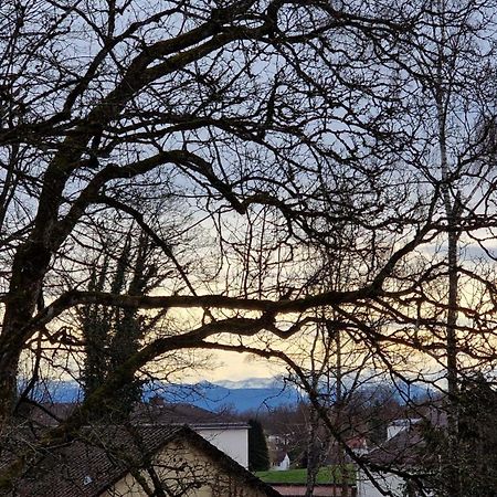 Ferienwohnungen Sisi Pocking (Starnberg) Exterior foto