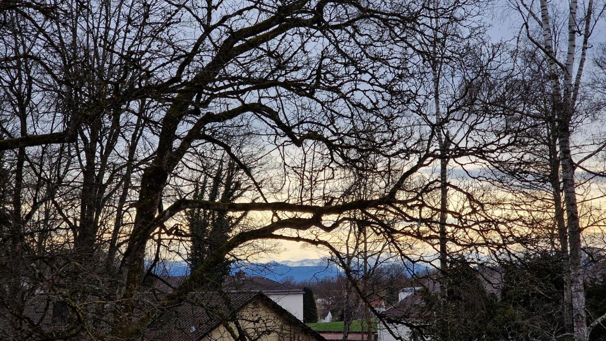 Ferienwohnungen Sisi Pocking (Starnberg) Exterior foto